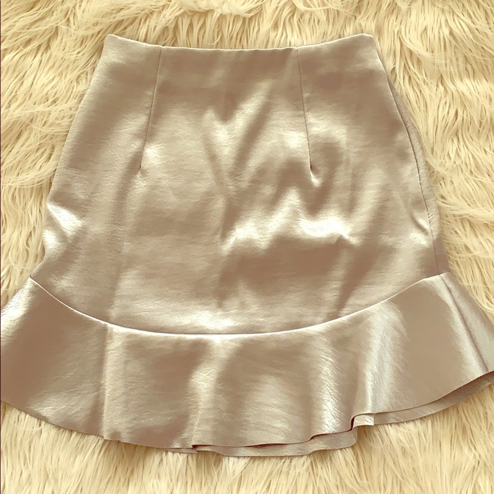 Beautiful Silver Skirt! Flirty Flare Bottom Sz 6